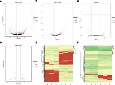 Long Noncoding RNA NONHSAT079852.2 Contributes to GBM Recurrence by Functioning as a ceRNA for has-mir-10401-3p to Facilitate HSPA1A Upregulation